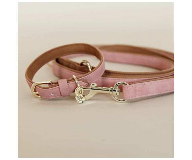 Kentucky - Chien - Collier pour chien en cuir vegan