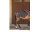 Harcour - Cheval - Couvre reins softshell Blake