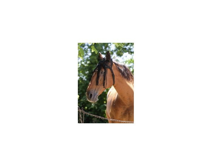 Equitheme-Cheval-Mesh Frontal
