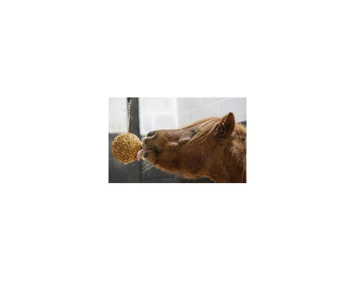 Likit-Friandise-Granola Stall Ball 1.6kg
