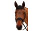 Canter-Bridons-Bridon Mylord Marron/Light Gold