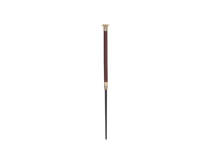 Harry's Horse-Stick et Cravache-Stick de dressage Marrons/Gold