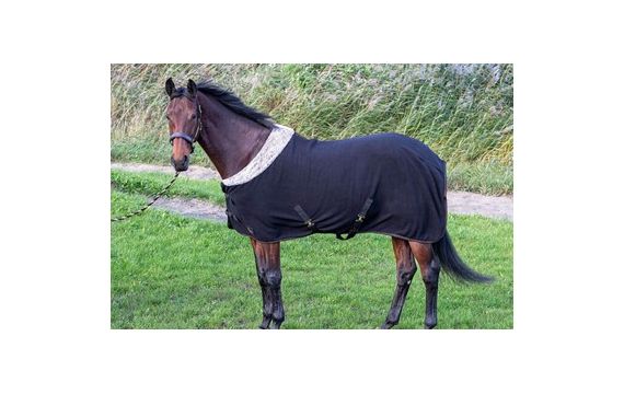 Harry's Horse-Couvertures-Chemise Polaire Aurach