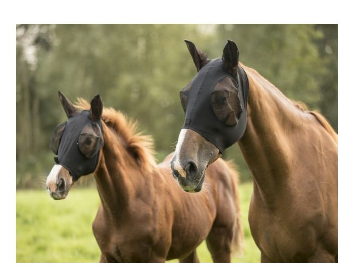 LamiCell-Masque pour Chevaux-Masque Anti mouche 