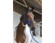 Riding World-Ensemble Licol et longe-Licol et longe bleus