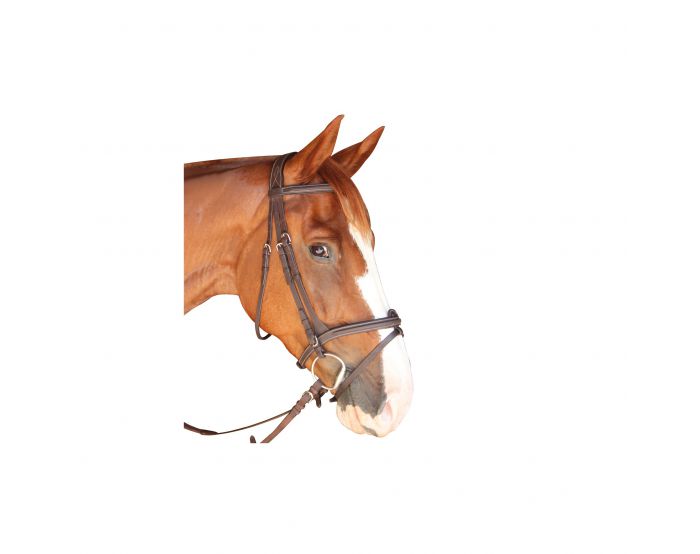 Privilége Equitation - Bridons - Bridon Dinard Marron Cheval / Full avec rênes