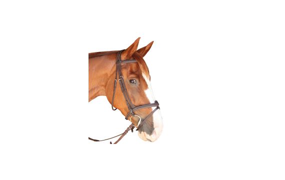 Privilége Equitation - Bridons - Bridon Dinard Marron Cheval / Full avec rênes