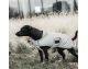 Kentucky - Couvertures chiens - Manteau Chien Réfléchissant & Hydrofuge Rabat De Ventre 150G