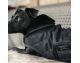 Kentucky - Manteaux chiens - Manteau pour chien Original Noir