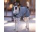 Kentucky - Manteaux chiens - Manteau Reflective & Water Repellent Gris