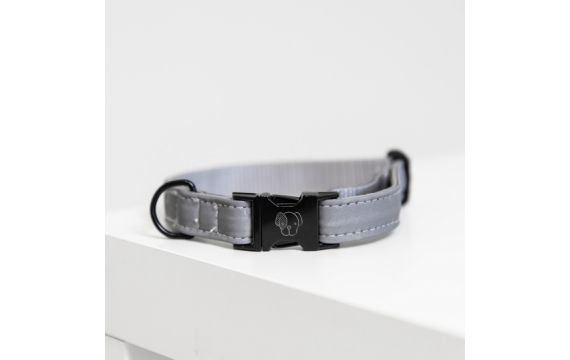 Kentucky - Colliers chiens - Collier pour chien Reflective