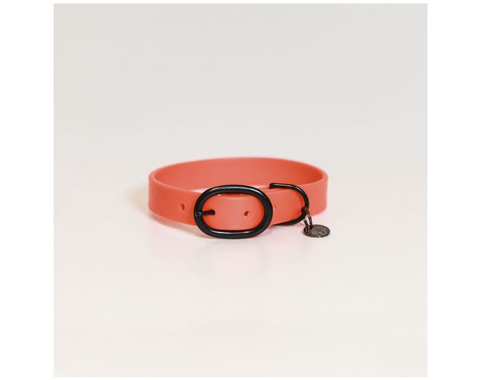 Kentucky - Colliers chiens - Collier pour chien soft rubber 