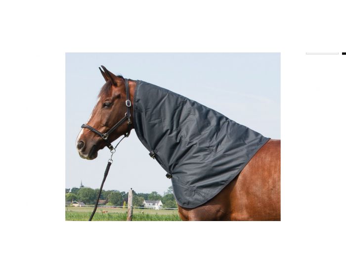 Harry's Horse - Accessoires Couvertures - Cou amovible imperméable "Thor" 200Gr L