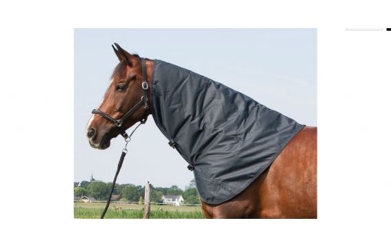 Harry's Horse - Accessoires Couvertures - Cou amovible imperméable "Thor" 200Gr L