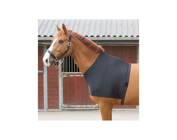 Harry's Horse - Accessoires couvertures - Protege épaule en lycra