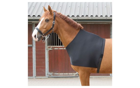 Harry's Horse - Accessoires couvertures - Protege épaules en lycra