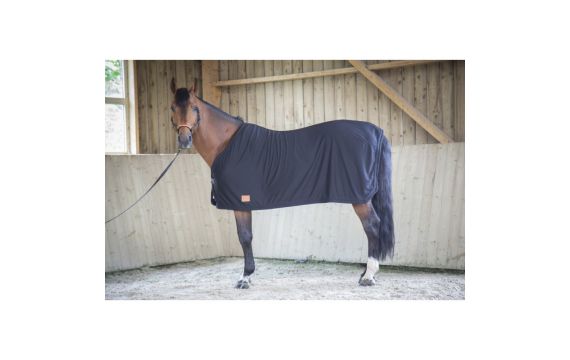 Paddock Sport - Couvertures - Chemise séchante en nid d'abeille Noir