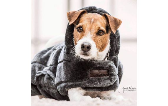Manteaux pour chiens